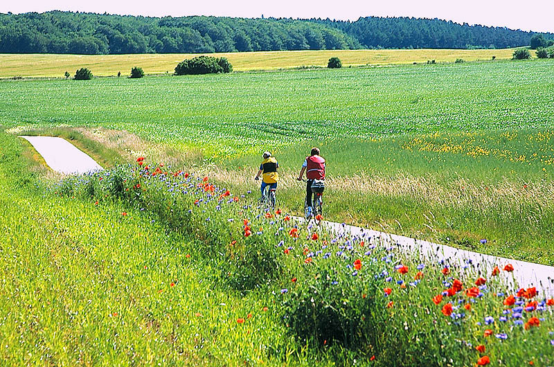 zur Übersicht Menschen 8